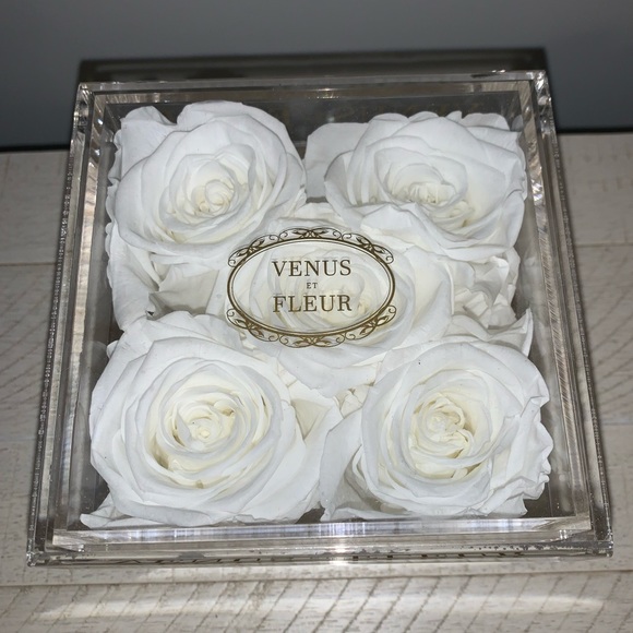 Margrethe Larsen Venus Et Fleur Flowers Real Image De Fleur Venus La Fleur Roses / Venus et